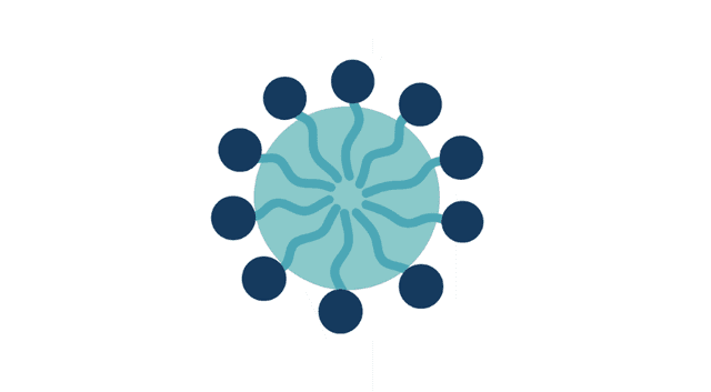 Self-assembly of biosurfactants into micelles and other structures